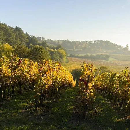 Villa Sainte-colombe-en-bruilhois Sleeps 8 Pool